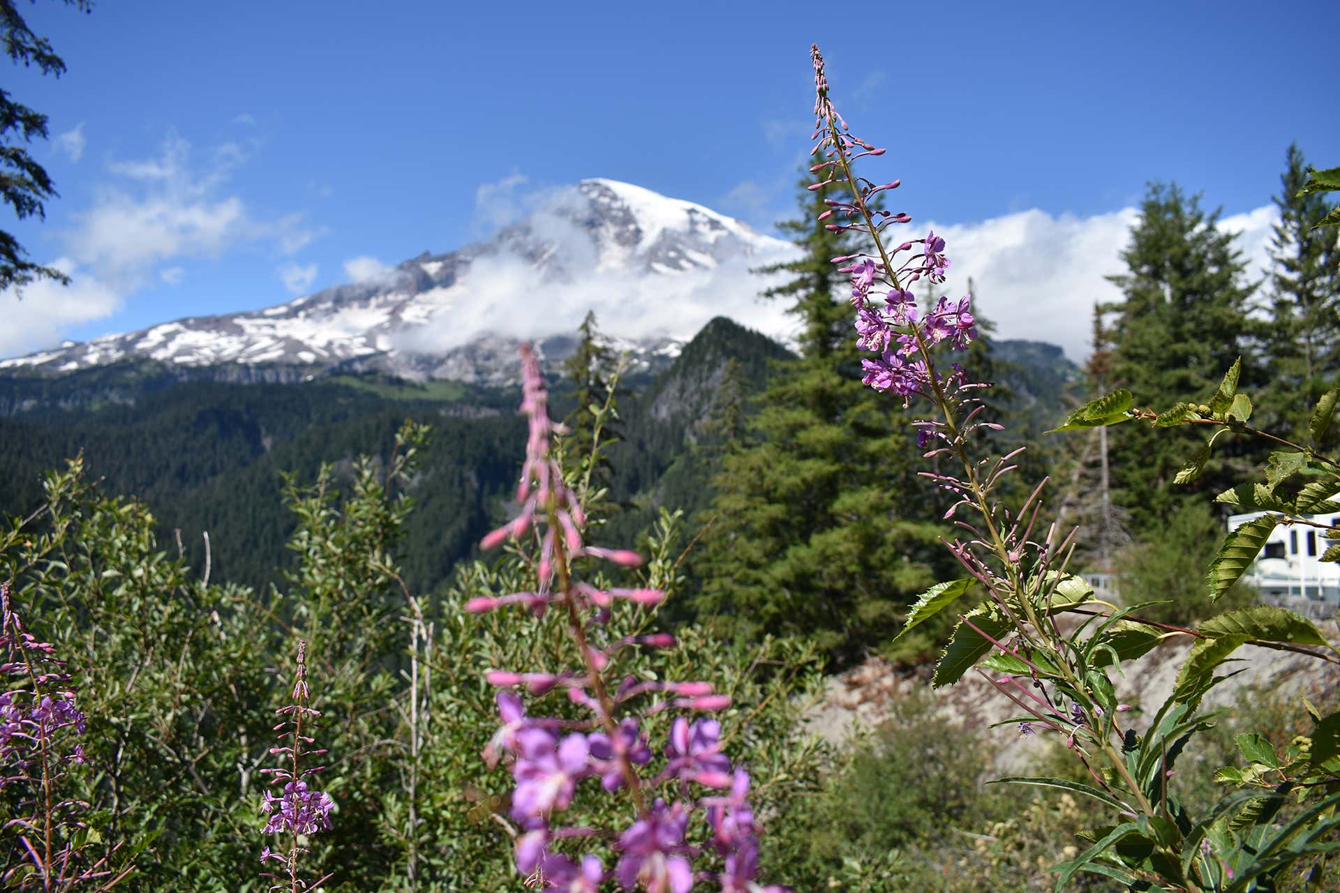 Explore the gateway towns of Mount Rainier National Park