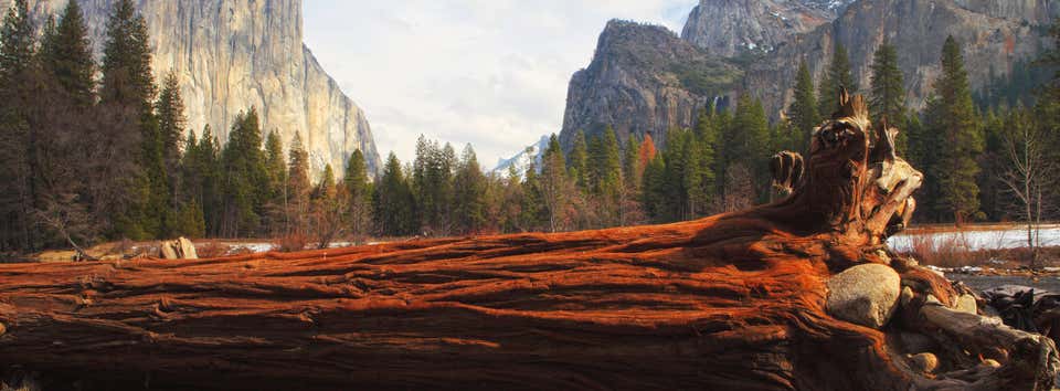 Photo of Yosemite National Park