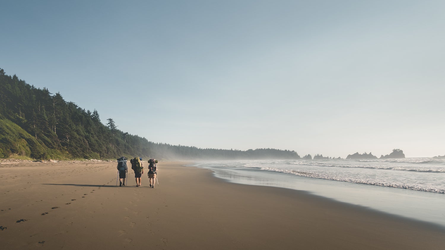 Hikers are hiking on the Shi Shi beach trail along the pacific coast in Olympic National Park, Washington State, USA