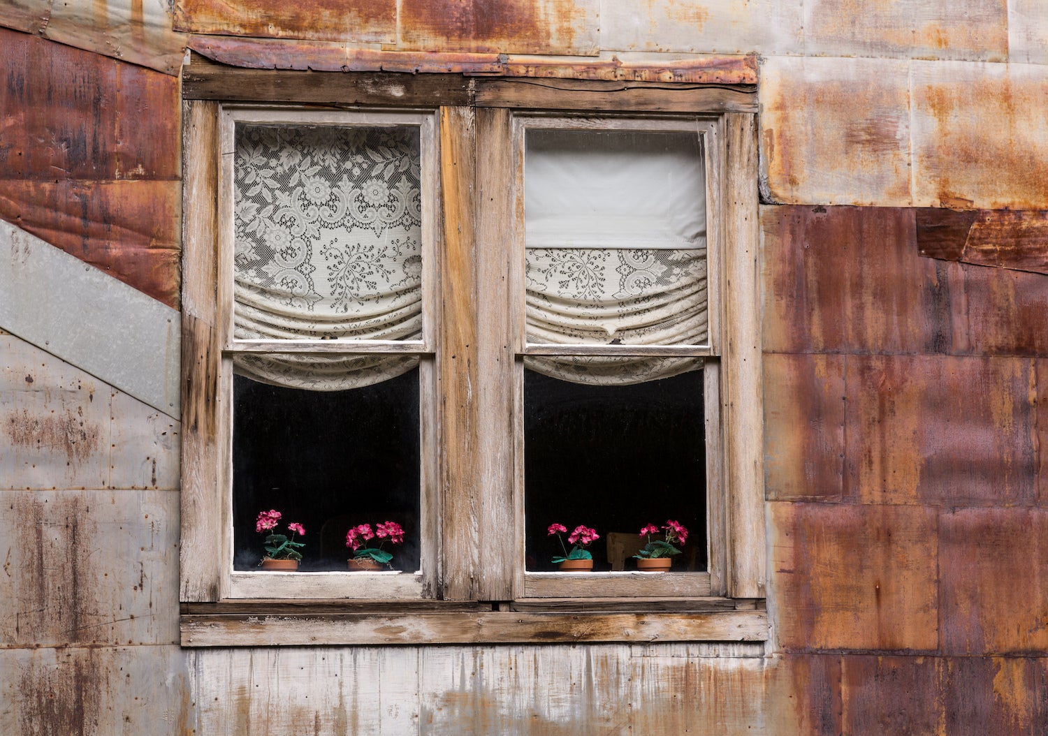 Old wooden windows and flowers in ghost town of St Elmo in Colorado.