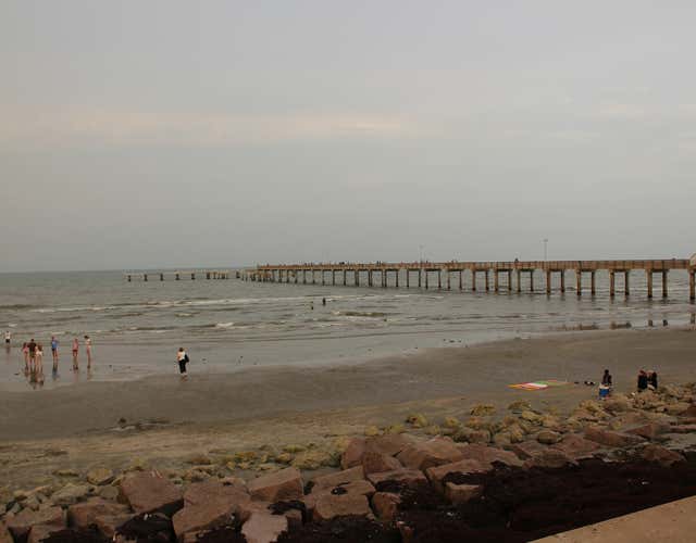A Nature Lover S Guide To Galveston Island Roadtrippers