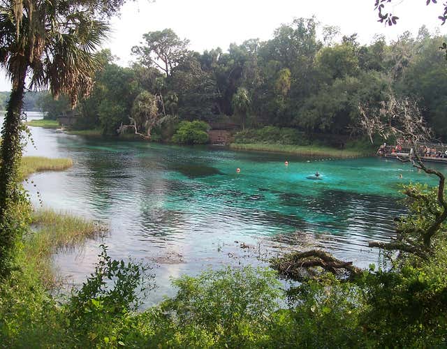 Kelly Park/Rock Springs: Beautiful park, cool swimming hole, shaded  campground