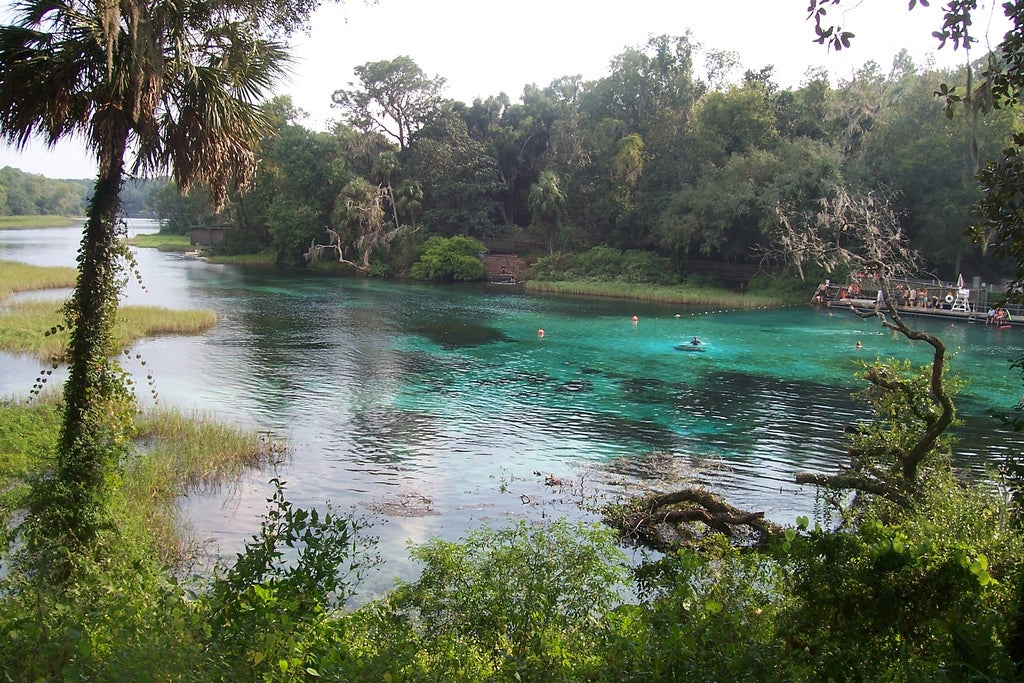 The Best-Kept Secret Swimming Holes of Central Florida