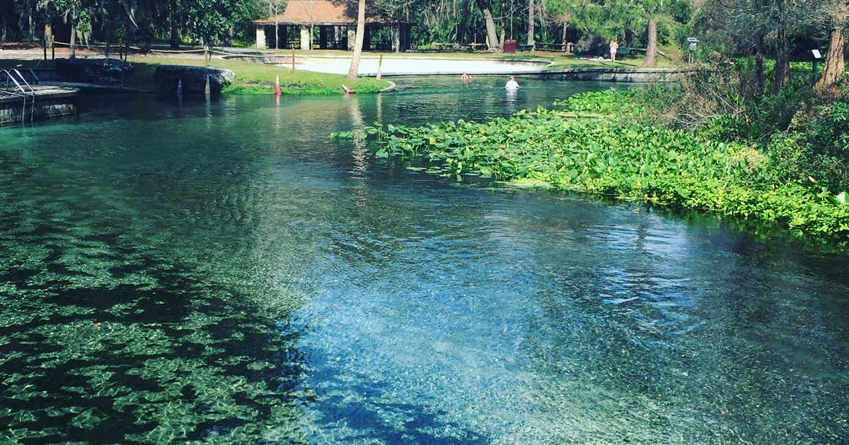 Kelly Park Rock Springs is Orlando's bestkept secret Roadtrippers