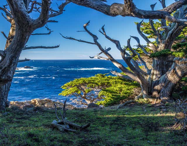 The ultimate guide to Big Sur's Point Lobos State Reserve | Roadtrippers