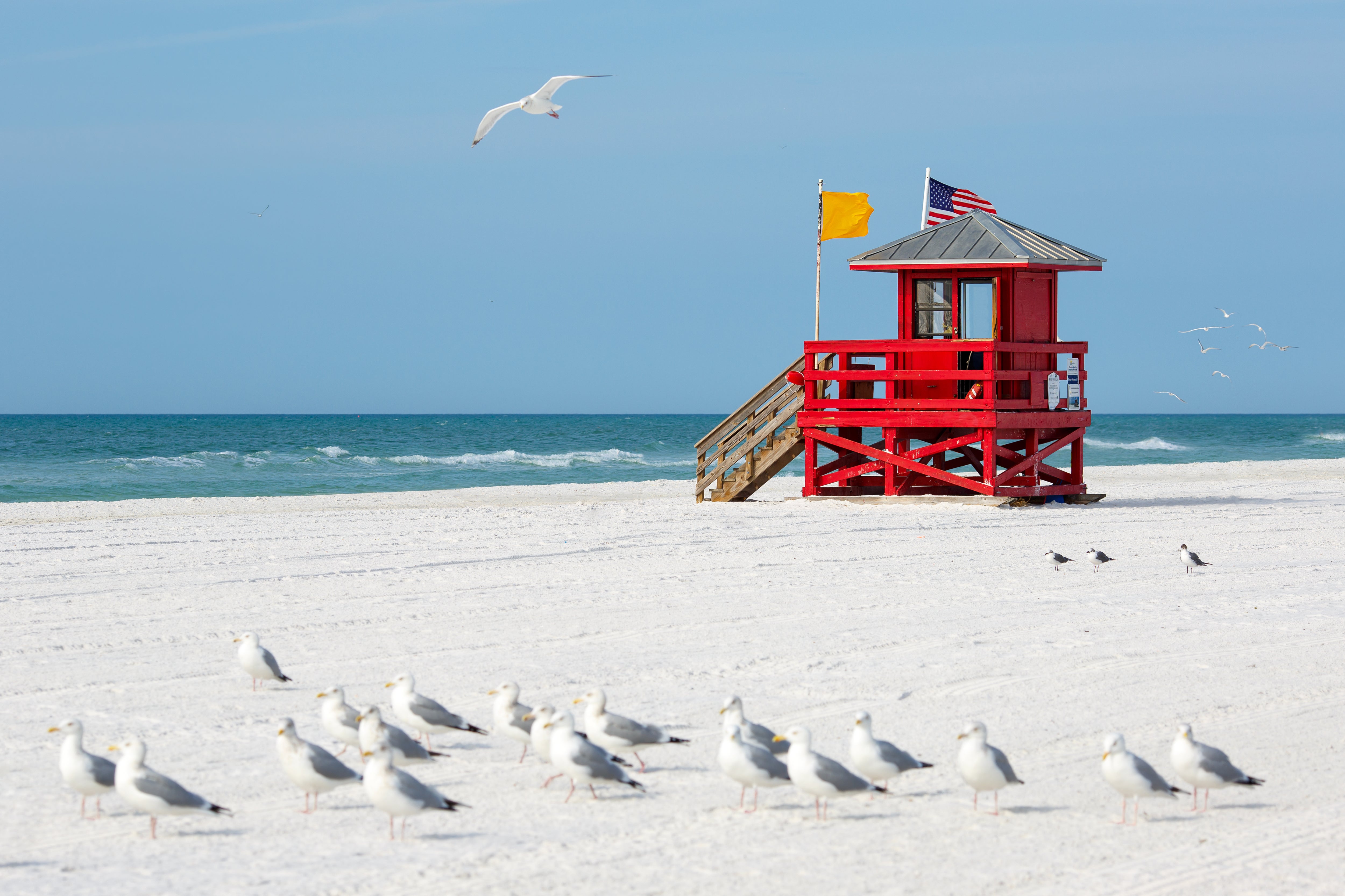 ROAD TRIP: Here's where to find ancient shark teeth and chill on soft, white sand beaches