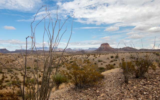 Big Bend - 2019