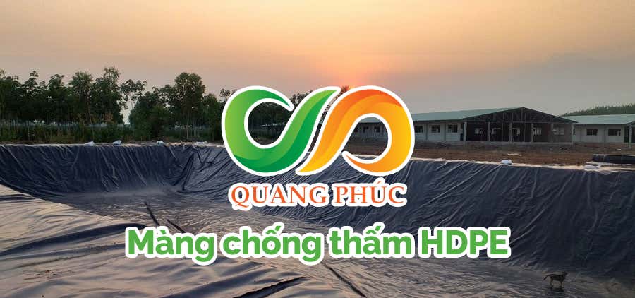 Màng Chống Thấm HDPE Quang Phúc