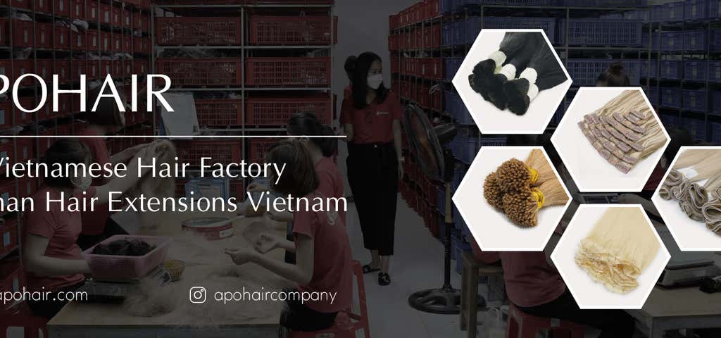 Apohair | #1 Vietnam Hair Factory