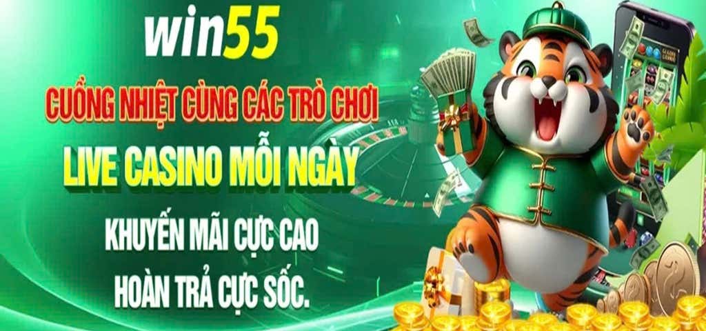 5win55info